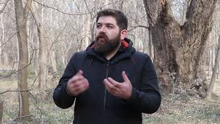 Listen to the forester: Giorgi Tkhelidze about forest inventory