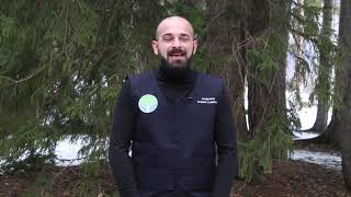 Listen to forester: Giorgi Berechikidze about improvement of forest sanitary condition