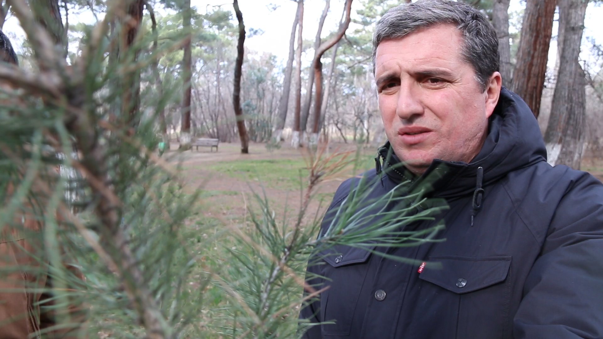 Meet the Forester - Ivane Betsuklishvili, Forester
