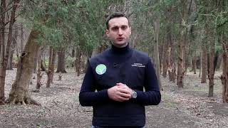 Iakob Kapanadze about forest fires