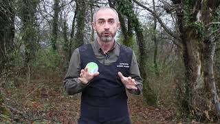 Giorgi Mamadashvili about maintenance and protection of chestnut groves