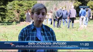 Borjomi Plateau restoration project