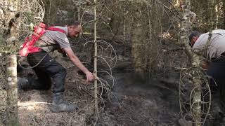 #foresterrecommends - Koba Silagadze, Chief Forester of Samtskhe-Javakheti Forestry Service