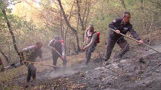 foresterrecommends - Soso Turashvili, Chief Forester of Kakheti Forestry Service