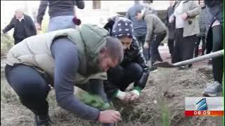 Planting in Bagebi