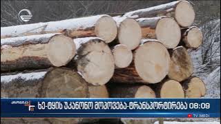 2022 timber illegal logging-transportation statistics