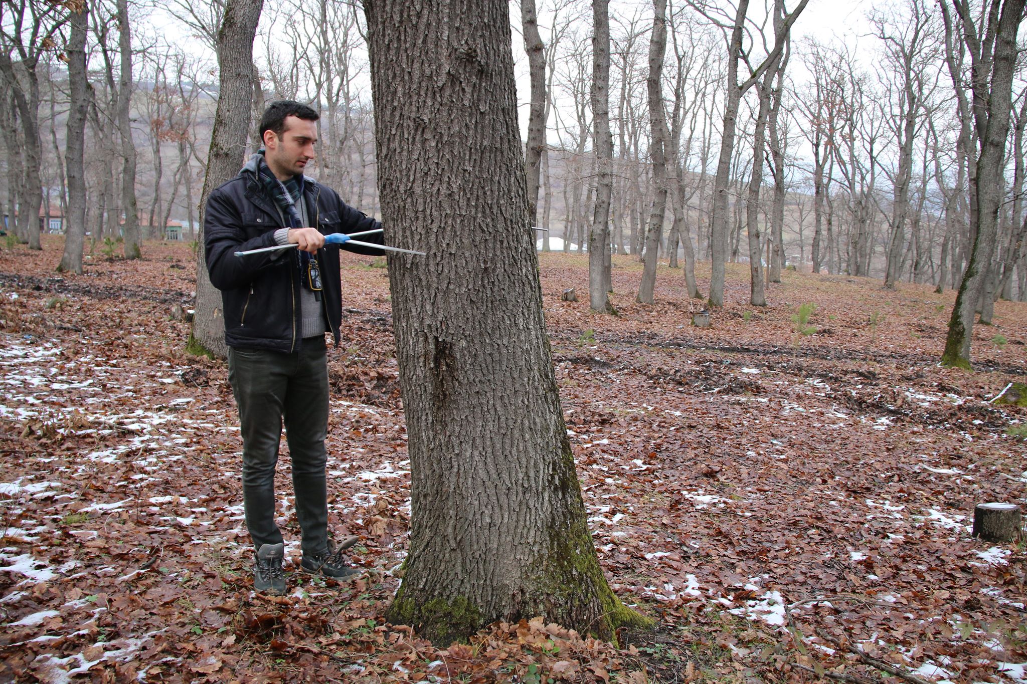 Meet the Forester - Iakob Kapanadze, Forester