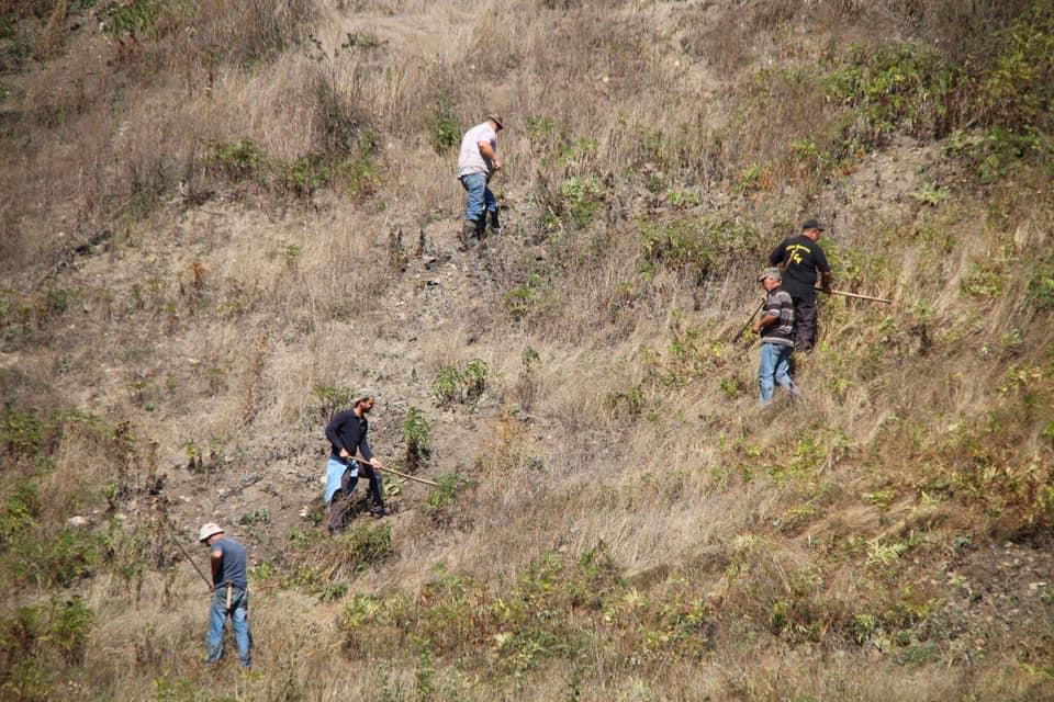 Intermediate monitoring in the frame of the maintenance-reforestation project 