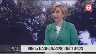 Natia Iordanishvili in Maestro Regions about forest maintenance-reforestation measures