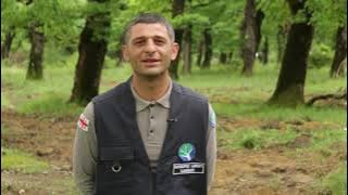 #I'mForester - "Just like a person needs a doctor, the forest needs a forester" - Soso Chigladze, Forester from Imereti