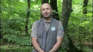 "One cannot love nature and not be noble" - Zurab Jachvadze, a Forester from Kakheti