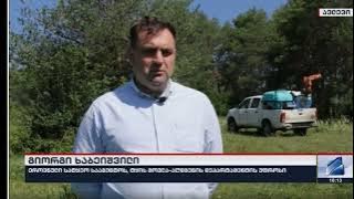 The National Forestry Agency is carrying out measures to combat the pest in the village of Avlev