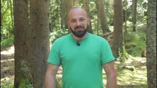 #theforestertells: Forest entomologist Giorgi Berechikidze about spruce bark beetle