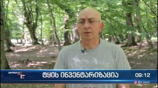 Forest inventory works in Kvareli and Telavi municipalities