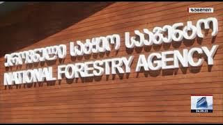 A new office of the Forestry Service was opened in Samegrelo - Zemo Svaneti
