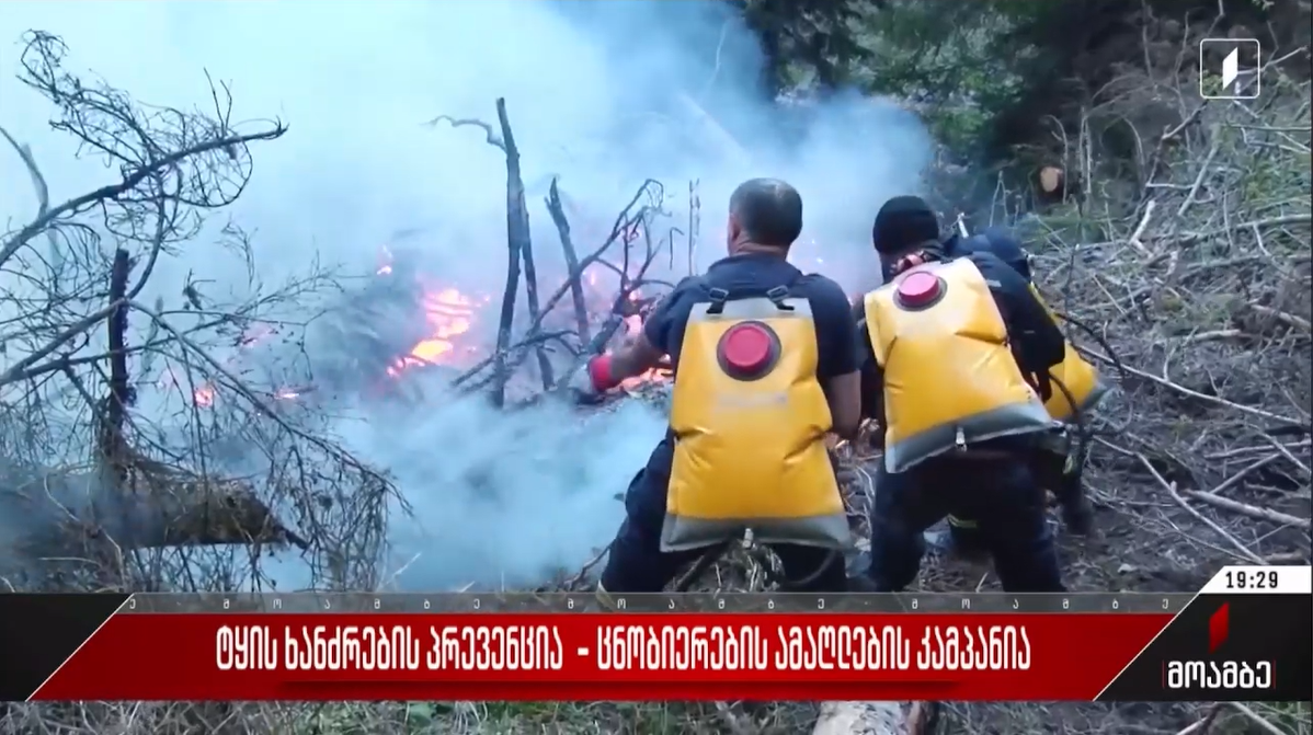 Prevention of forest fires - awareness raising campaign