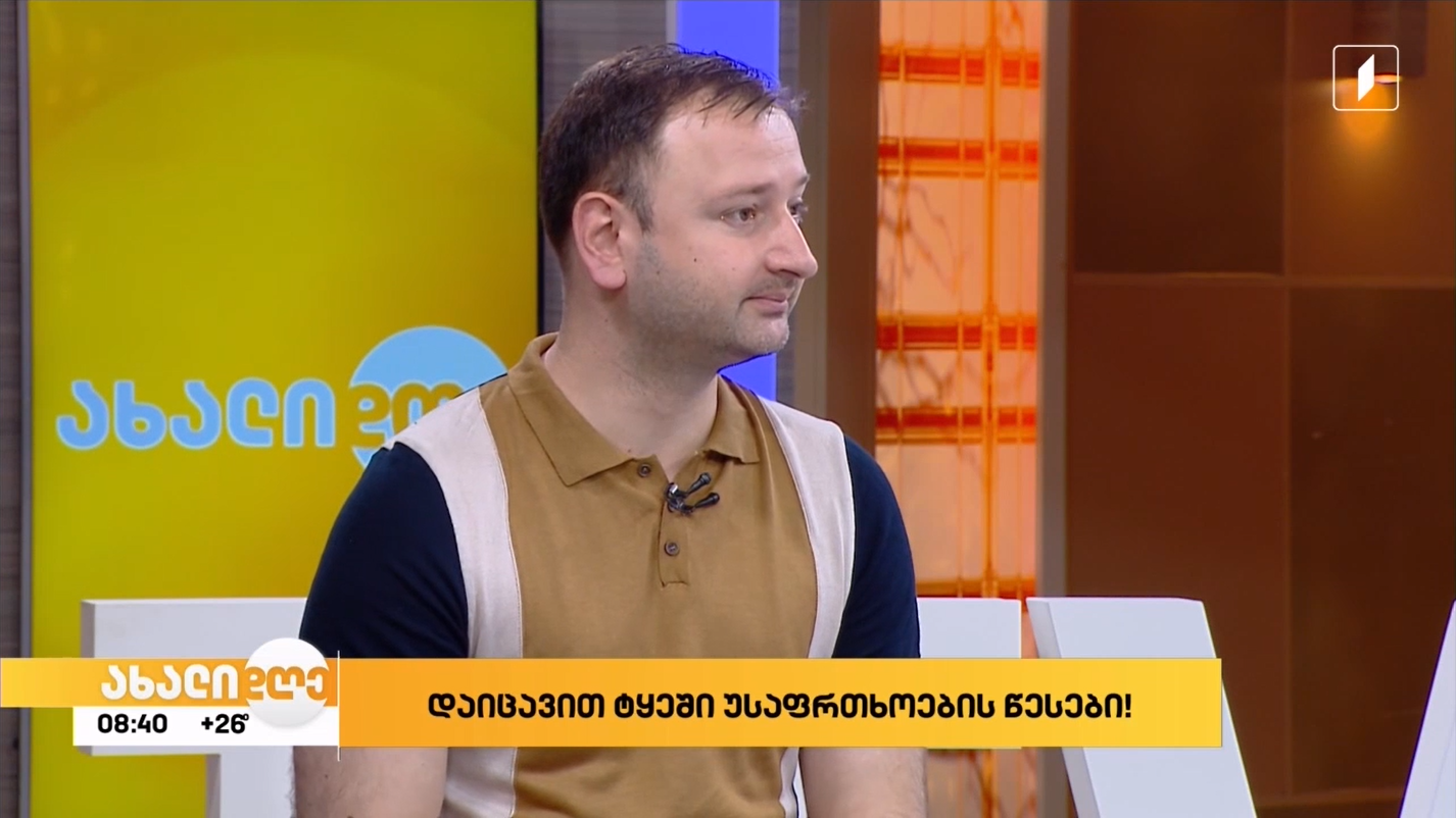 Follow the safety rules in the forest - Davit Damenia in the program "Akhali Dghe"