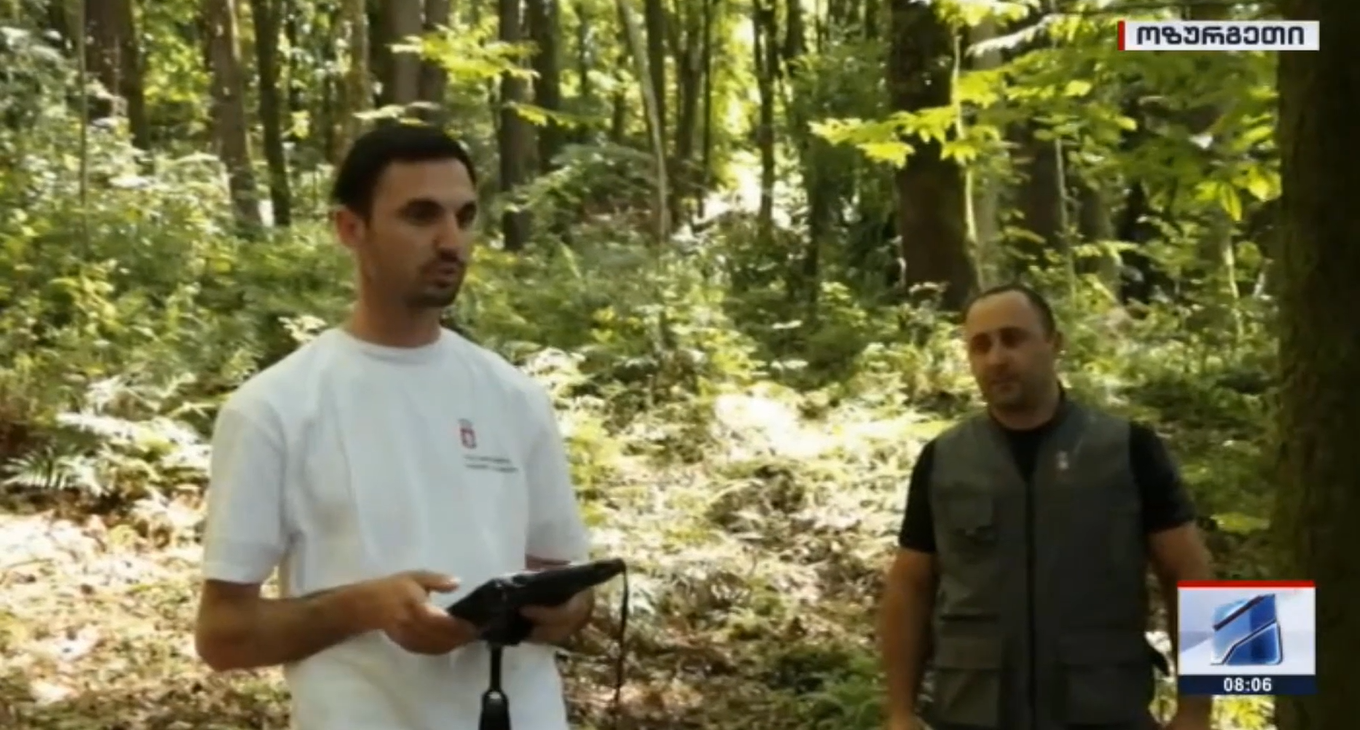 Forest inventory in Ozurgeti municipality