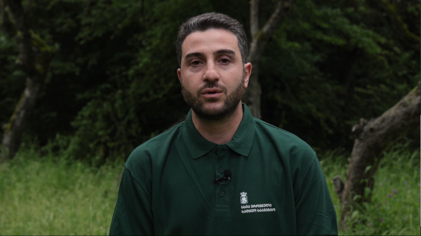 #PROTECTTHEFOREST Geno Osikmashvili about the rules of behavior in the forest