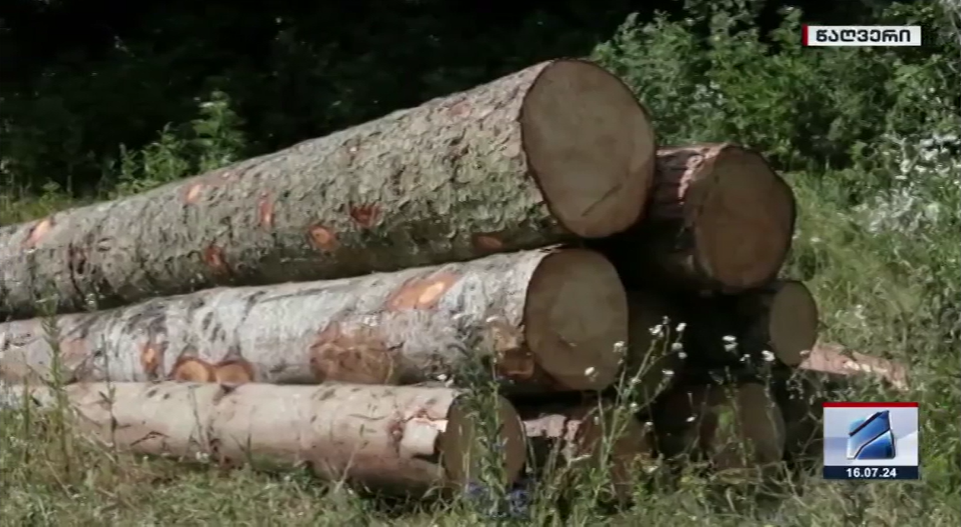 Timber illegal transportation in Tsaghveri