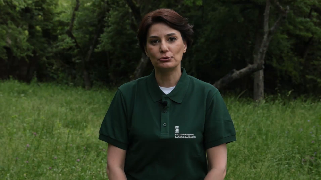 #PROTECTTHEFOREST Tamar Phirosmanishvili about the rules of behavior in the forest