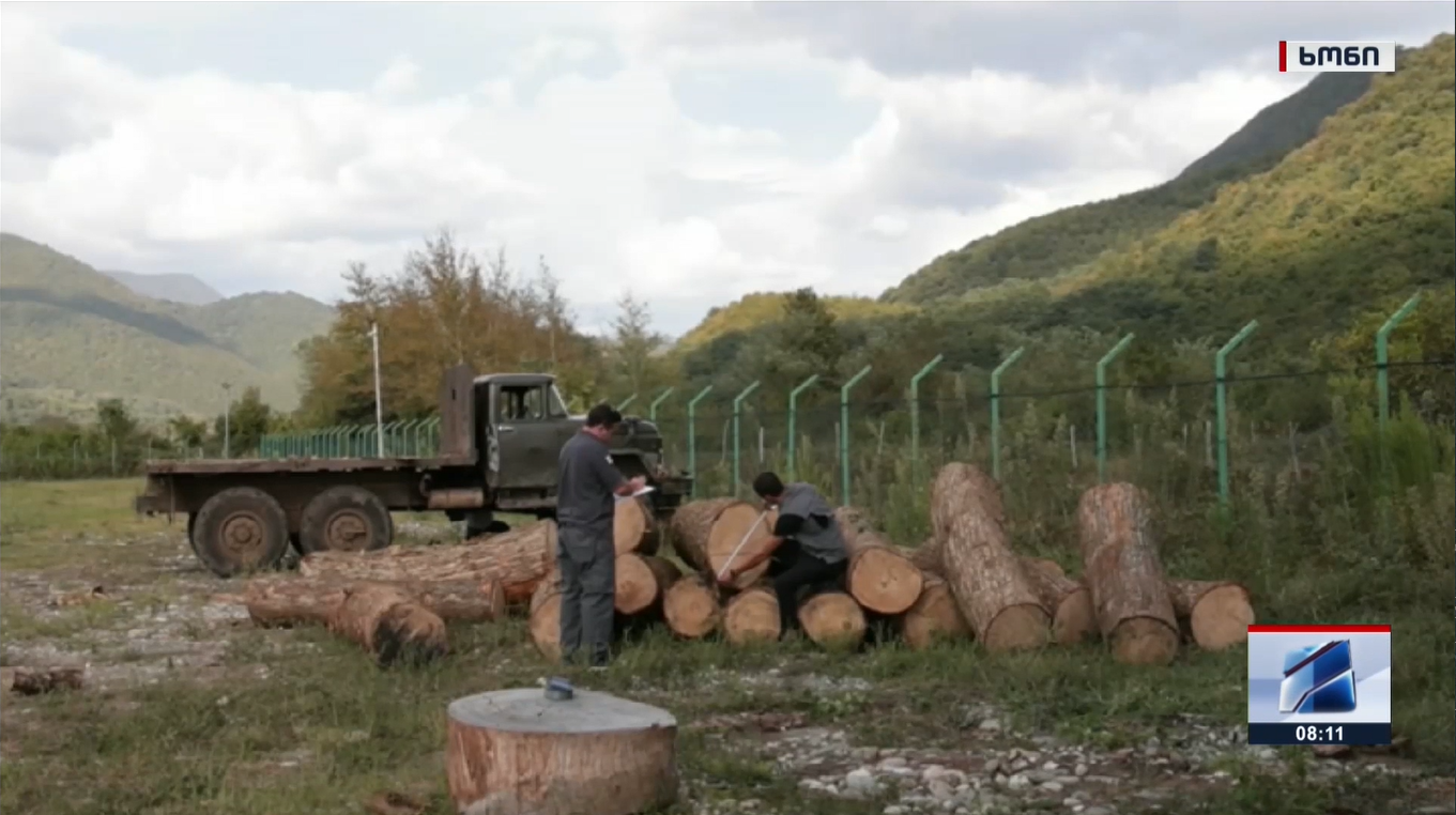 The fact of illegal extraction and transportation of timber in Imereti