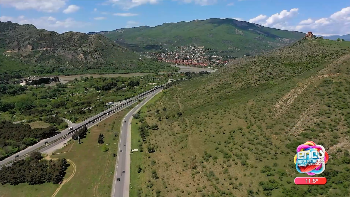 A Memorandum of Cooperation Signed Between the National Forestry Agency and "Efes Georgia"