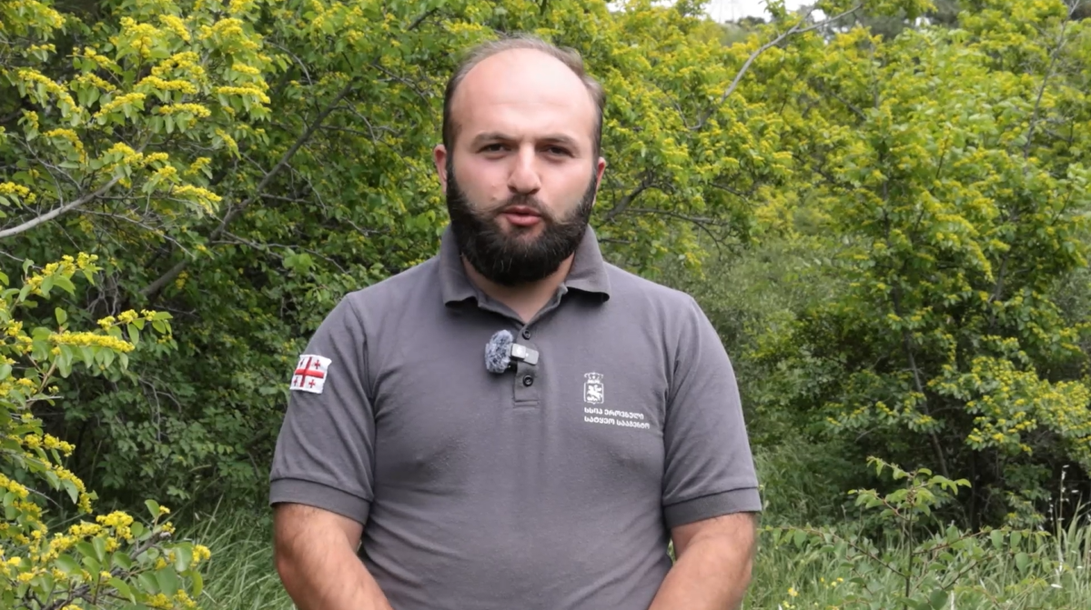 #iamaforester - Giorgi Makadze