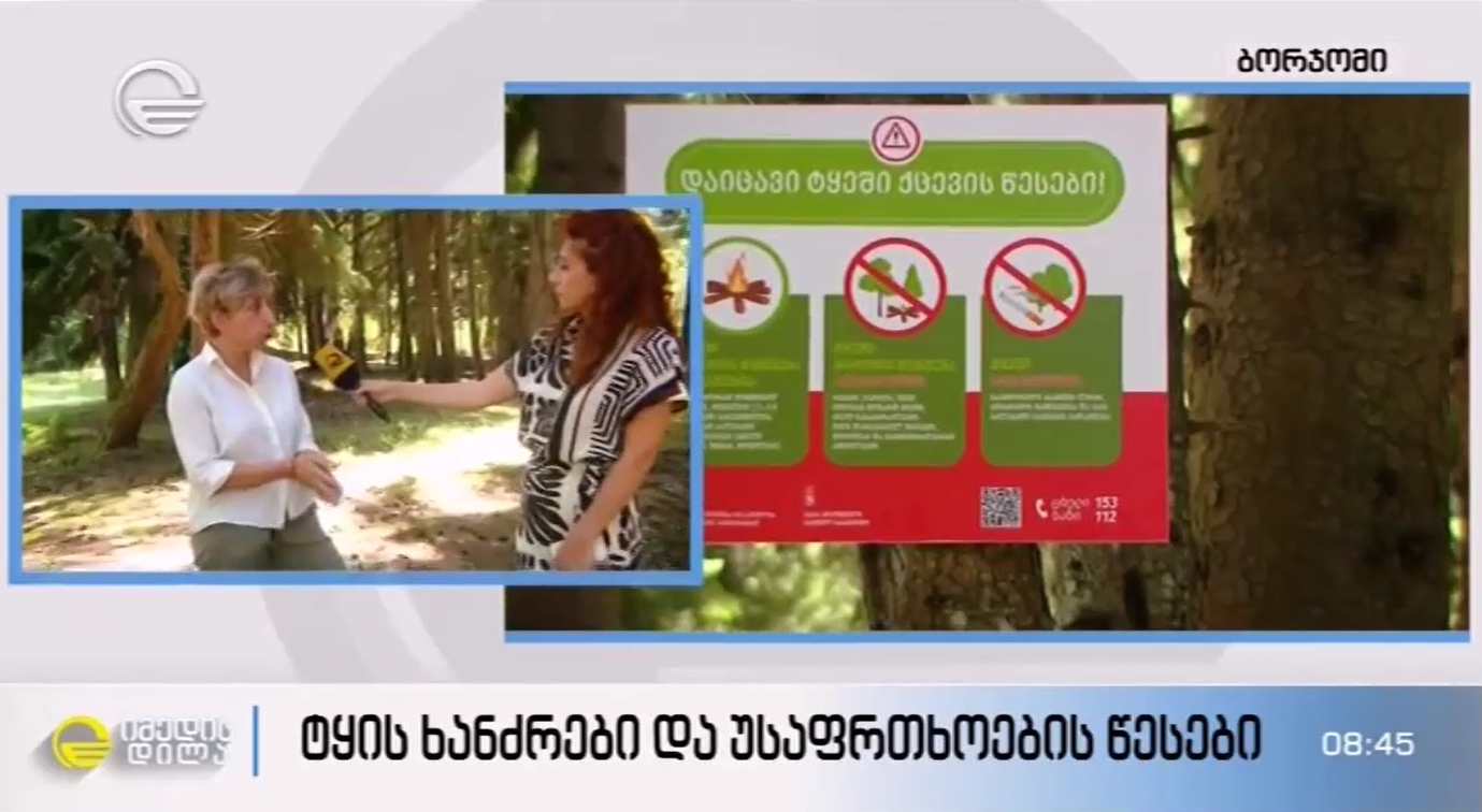 Follow the forest behavior rules - Natia Iordanishvili's participation in  'Imedis Dila