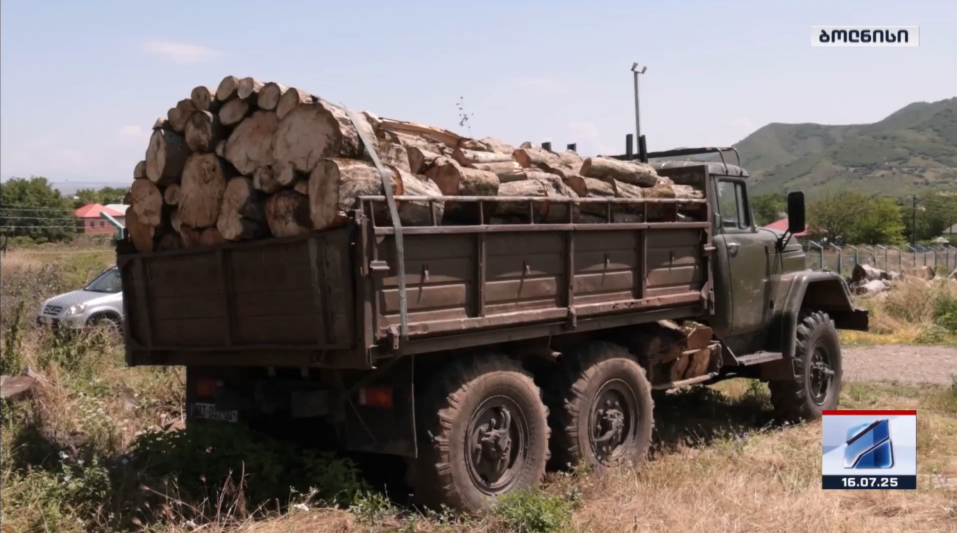 Case of Illegal Logging and Timber Transportation in Kvemo Kartli