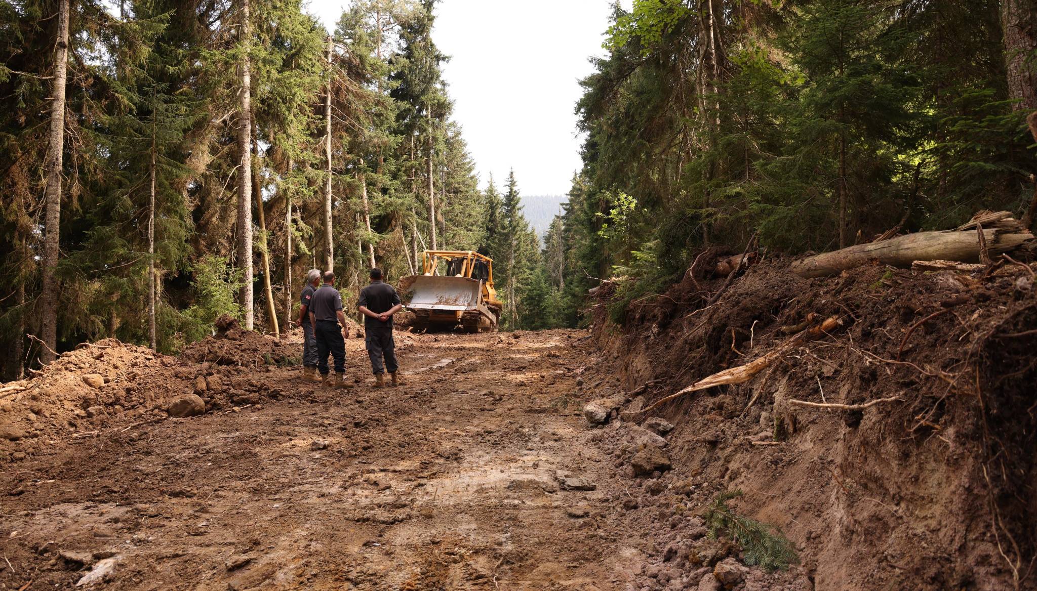 Rehabilitation of  forestry roads in the village of Kekhovani