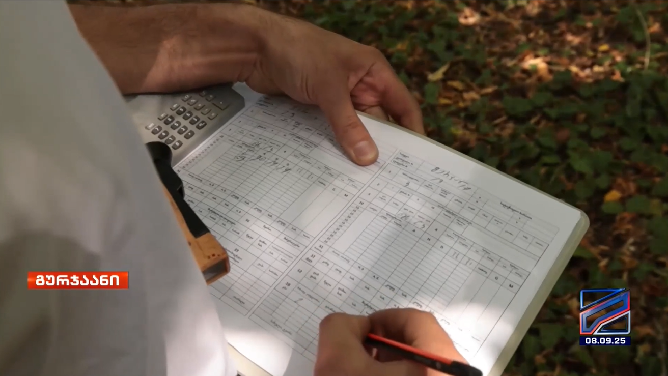 Forest Inventory Work Underway in Gurjaani on an Area of Up to 29,000 Hectares