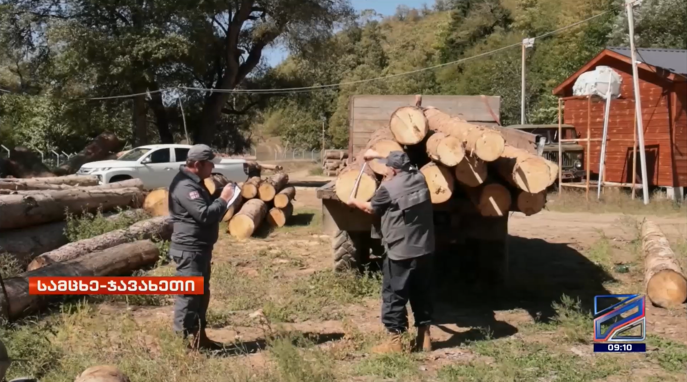 Fact of illegal use of a large quantity of timber in Tsaghveri