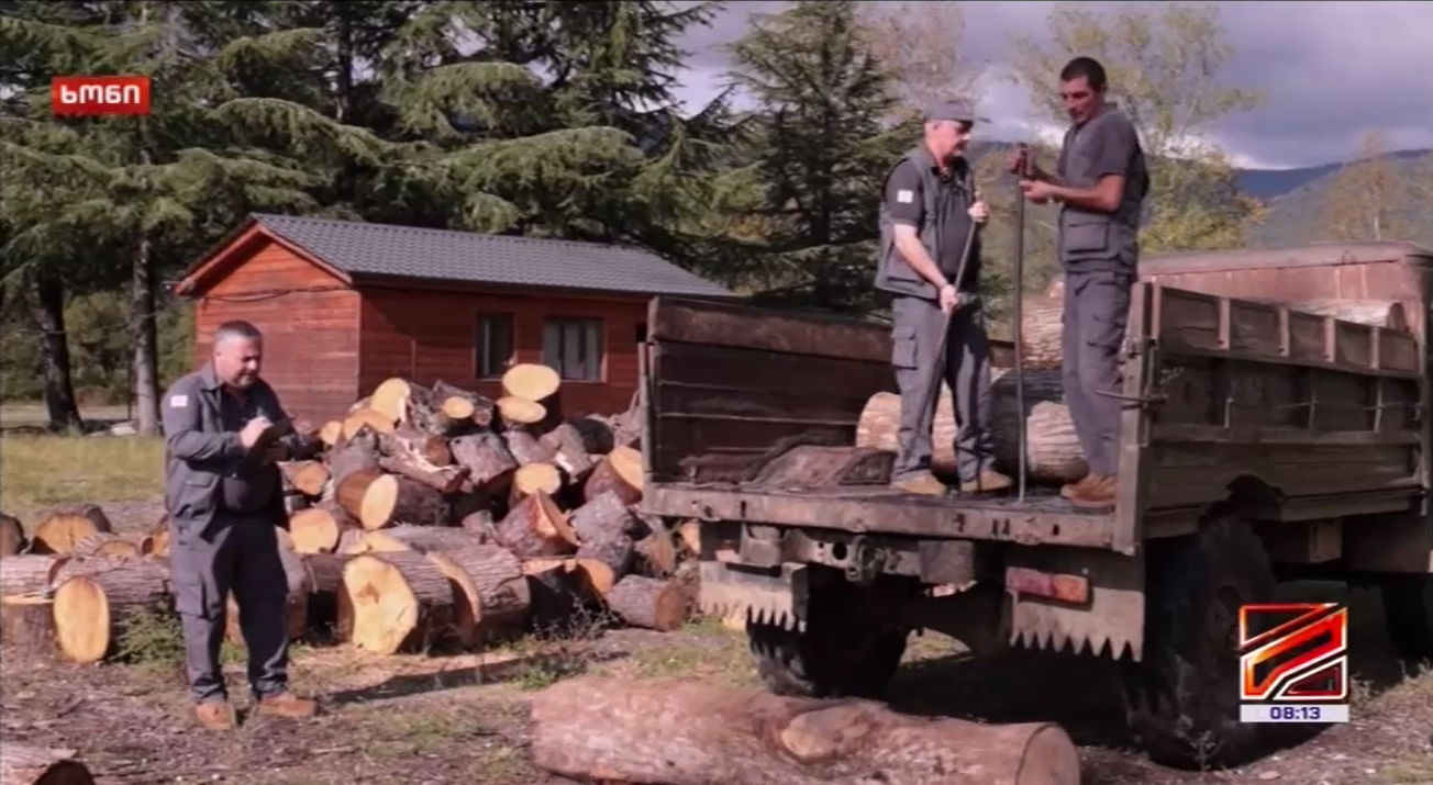 The fact of illegal logging and transportation of timber in the state forest in the Khoni municipality