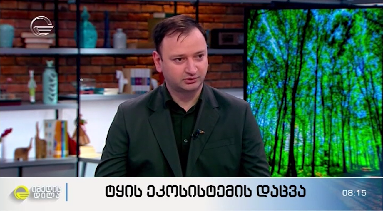 The forest ecosystem of Georgia, conservation and protection – David Damenia on the TV show "Imedis Dila"