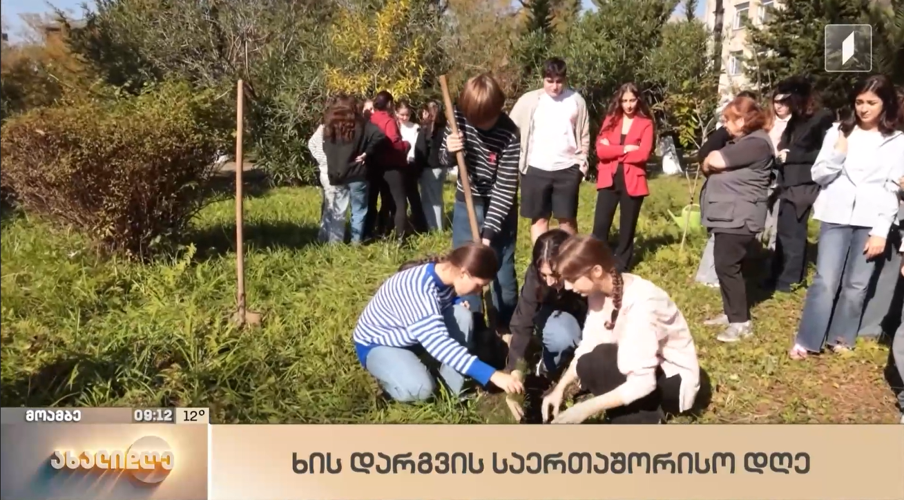 October 22 is the International Day of Tree Planting