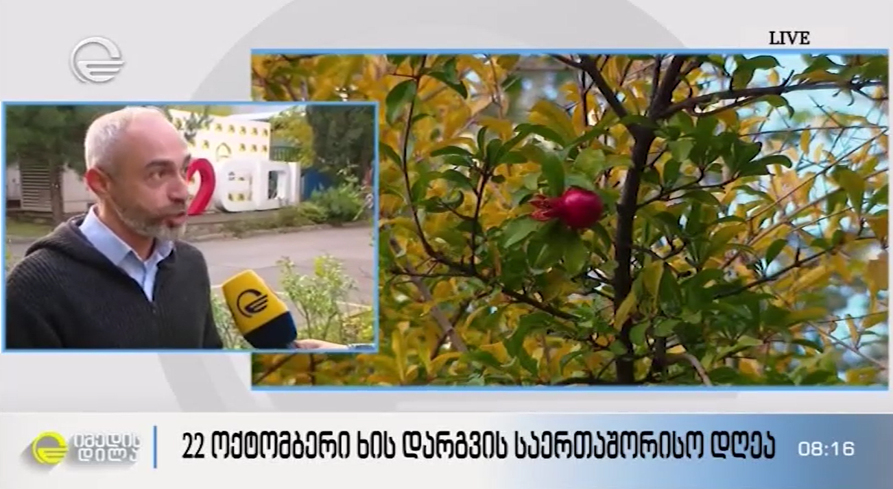 Giorgi Mamadashvili in the Tv show "Imedis Dila"