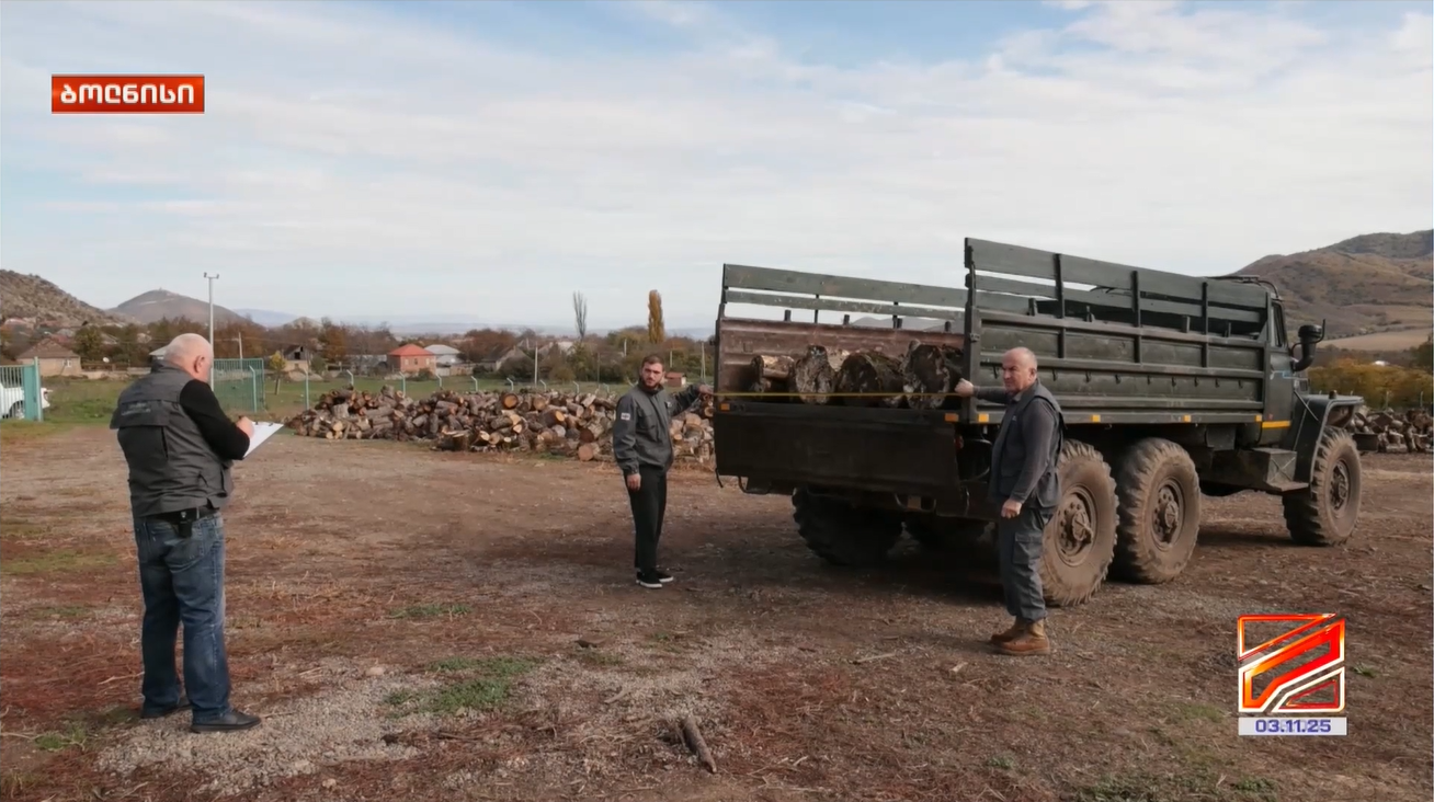 The fact of illegal logging and transportation in Bolnisi