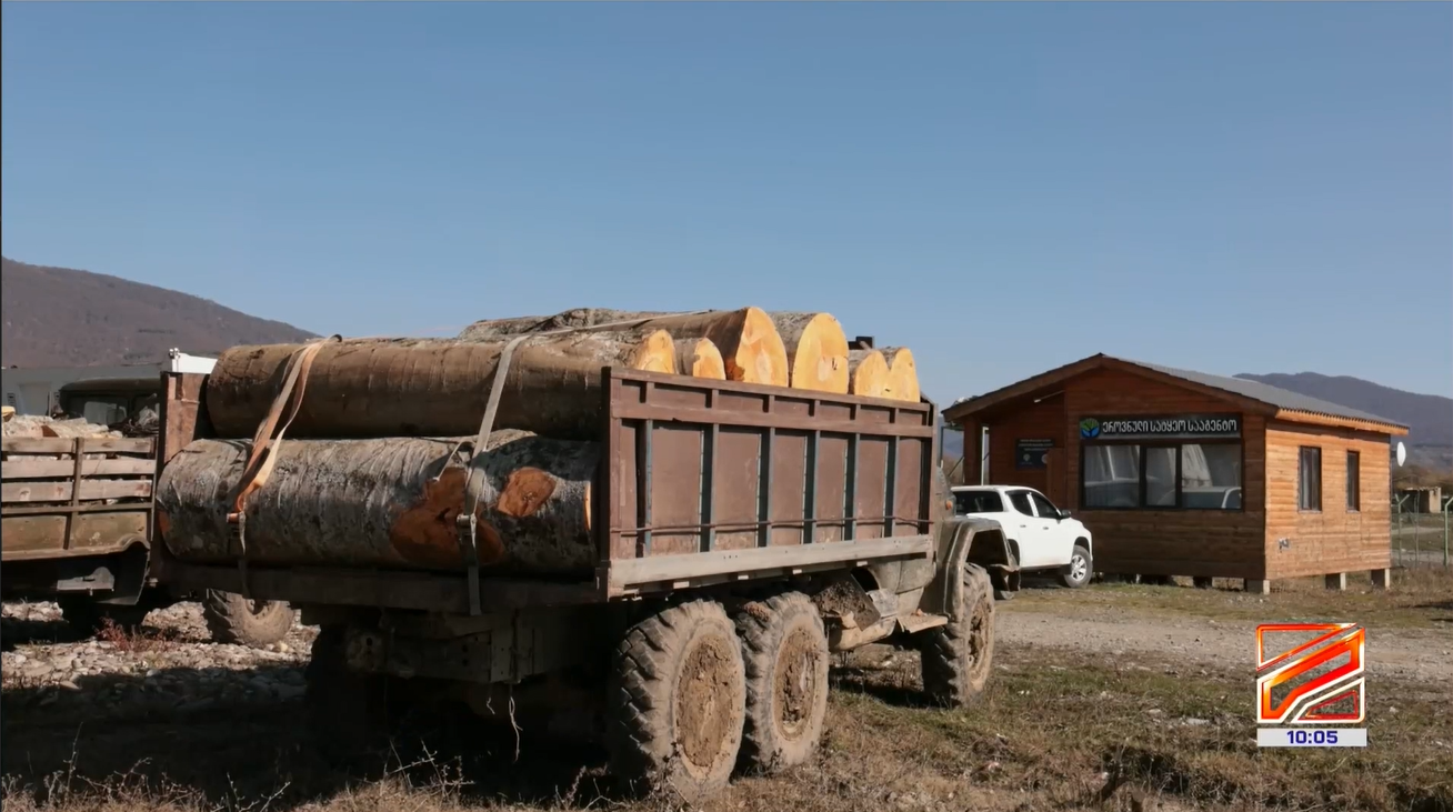 Illegal logging and transportation fact in Mtskheta-Mtianeti