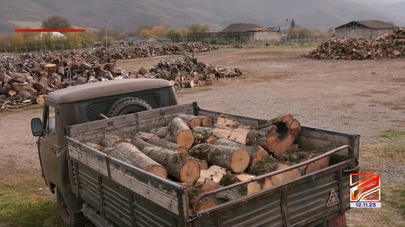 Illegal logging and transportation in the Bolnisi-Dmanisi forestry area