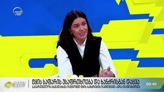 Davit Damenis in TV Show Imedi Morning about forest fires