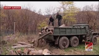 Illegal logging and transportation of timber in the Bolnisi-Dmanisi forest district