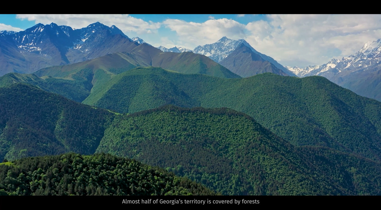Every step taken to protect the forest is a solid foundation for a healthy future