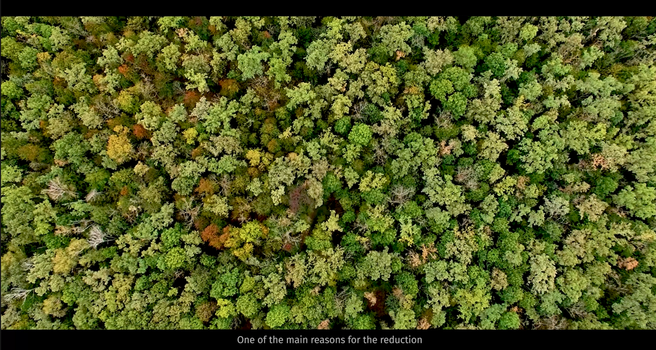 The legislation regarding illegal logging and transportation of timber has been tightened