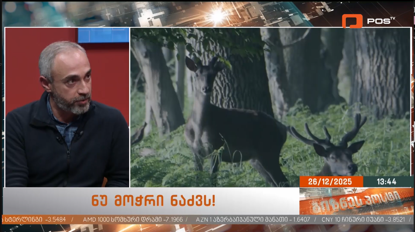 Giorgi Mamadashvili on TV Show "Business Post" about the information campaign Don't Cut Down the Christmas Tree"