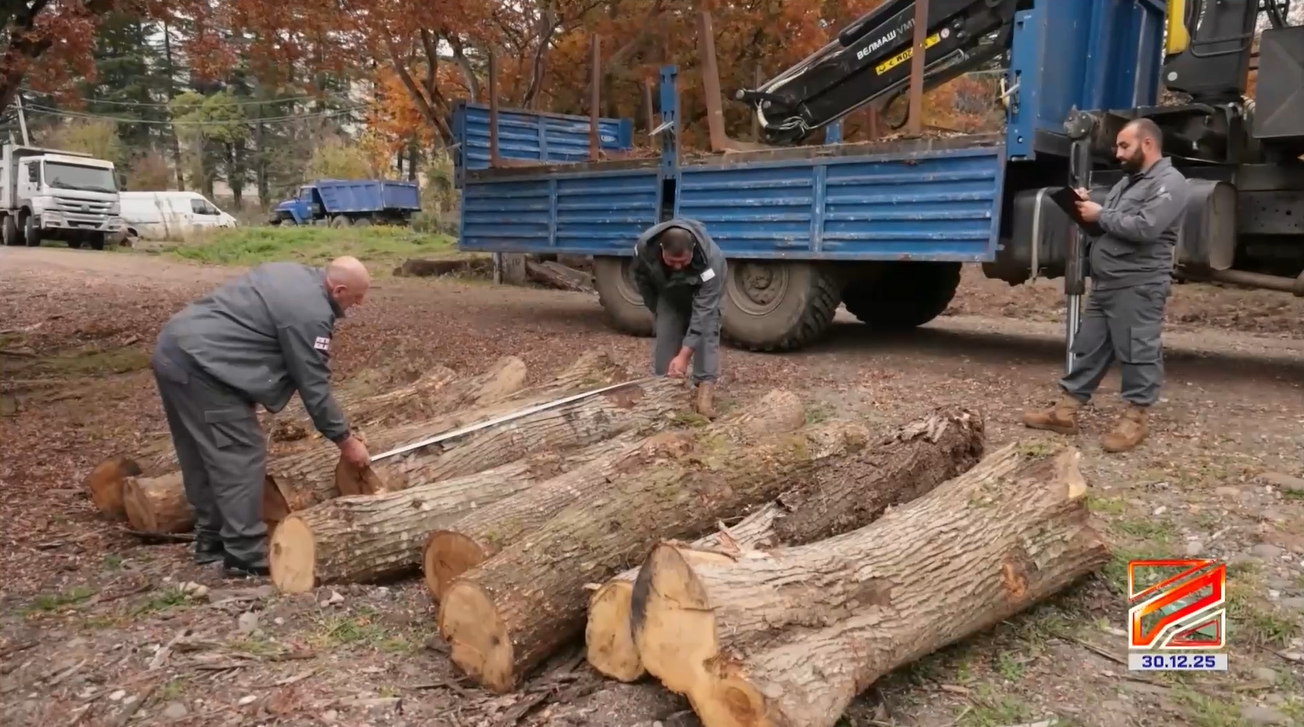 The statistics of detected violations in 2025