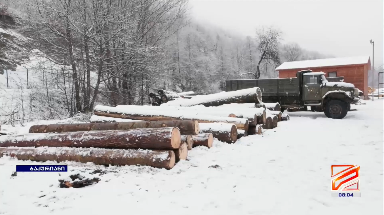 Illegal logging and transportation of timber were detected in the Bakuriani–Tsaghveri forestry district.