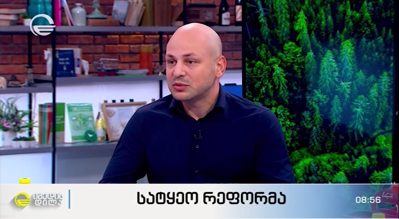 Davit Kobakhidze on forestry reform on the program “"Imedis Dila"