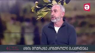 Don't cut the boxwood! - Giorgi Mamadashvili on Maestro Regions