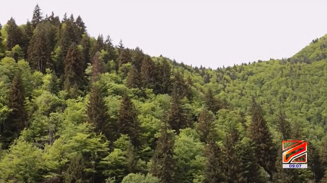 The "Follow Forest Conduct Rules" information banners with QR codes will be installed at 350 locations across state forests